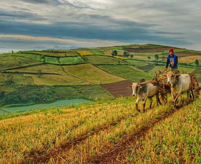 Trekking around Inle Lake - Kalaw